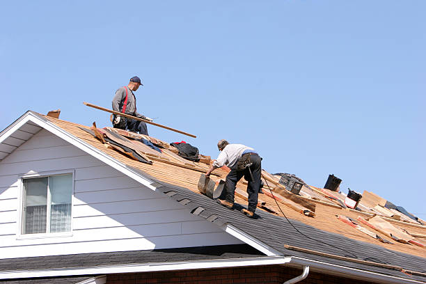 Best Roofing for New Construction  in Quinebaug, CT
